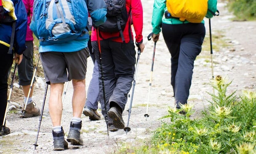 Best plus size hiking pants