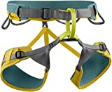 EDELRID Jay Climbing Harness - Men's Wasabi Medium