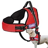 PetLove Dog Harness, Adjustable Soft Leash Padded No Pull Dog Harness for Small Medium Large Dogs, Red
