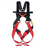 Full Body Climbing Harness Kids,Flower Sea9 Climbing Harness Safe Belts Guide Harness for Mountaineering Outward Band Expanding Training Caving Rock Climbing Rappelling Equip (S(4-10years))